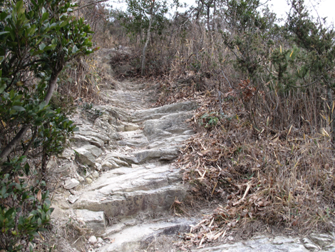 20140125hike (428)